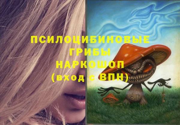герыч Ельня