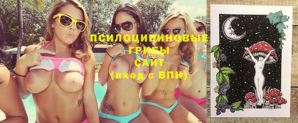 альфа пвп Елизово